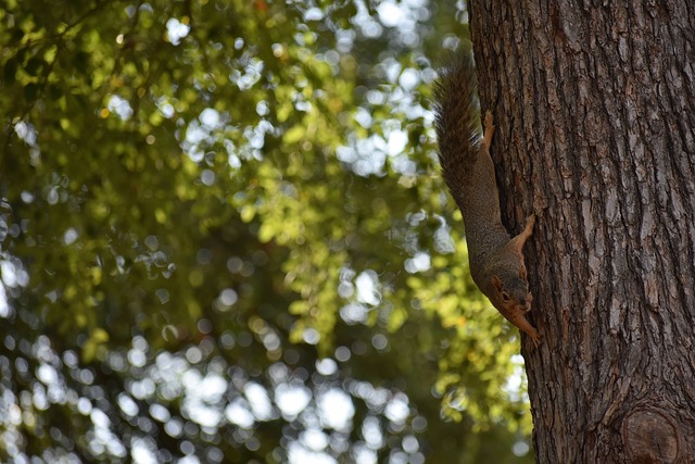 戰在於如何 戰在於如何
