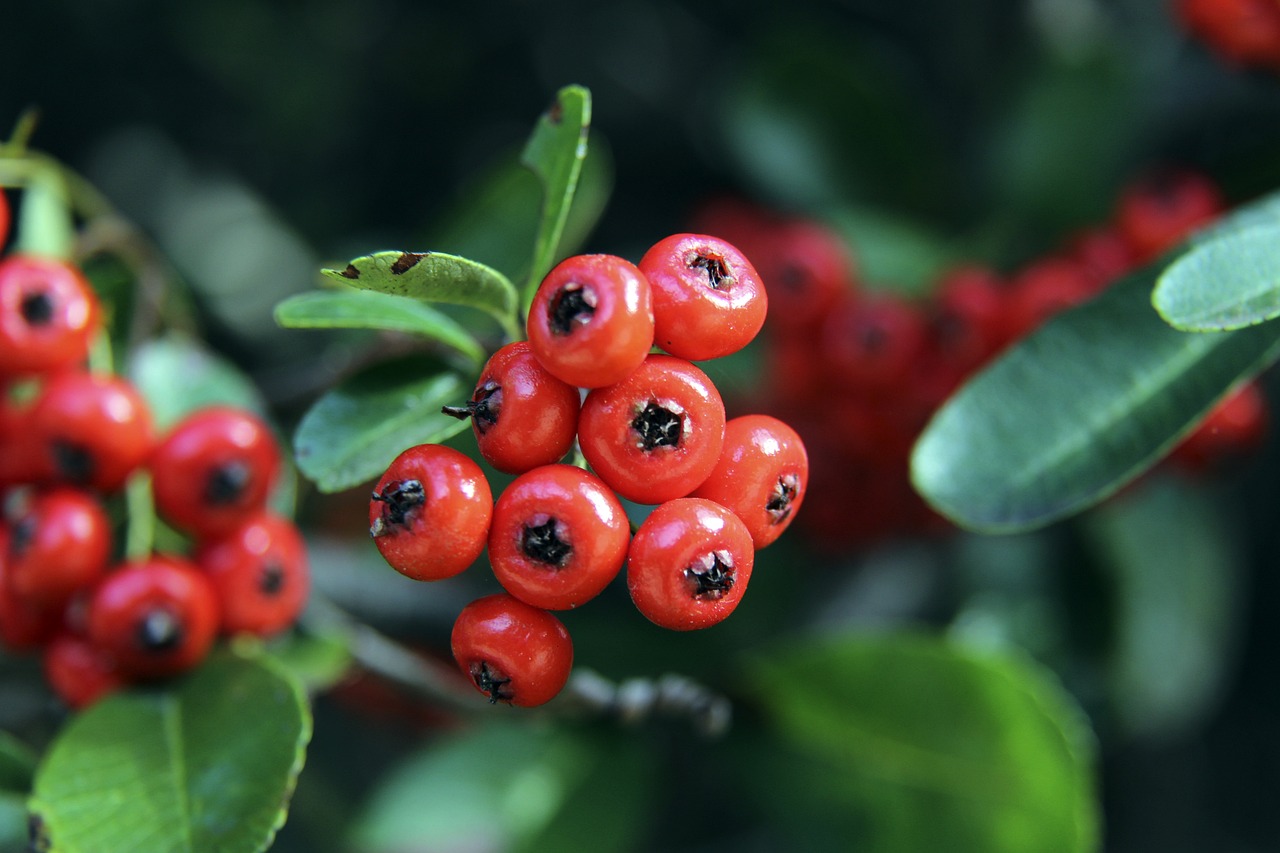 确保了球队 确保了球队